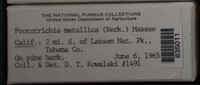 Image Associated With the Occurence